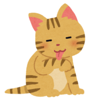 A domestic short-haired tabby housecat with stripes all over its body is sitting and licking its right paw.